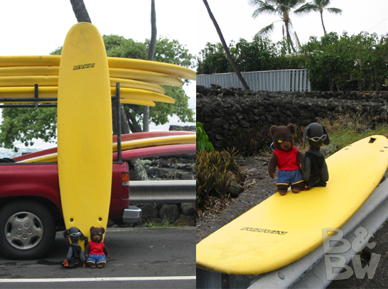 Surfing lessons